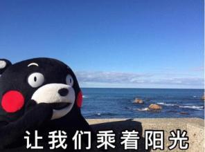 u=2567501987,1815334000&fm=26&gp=0
