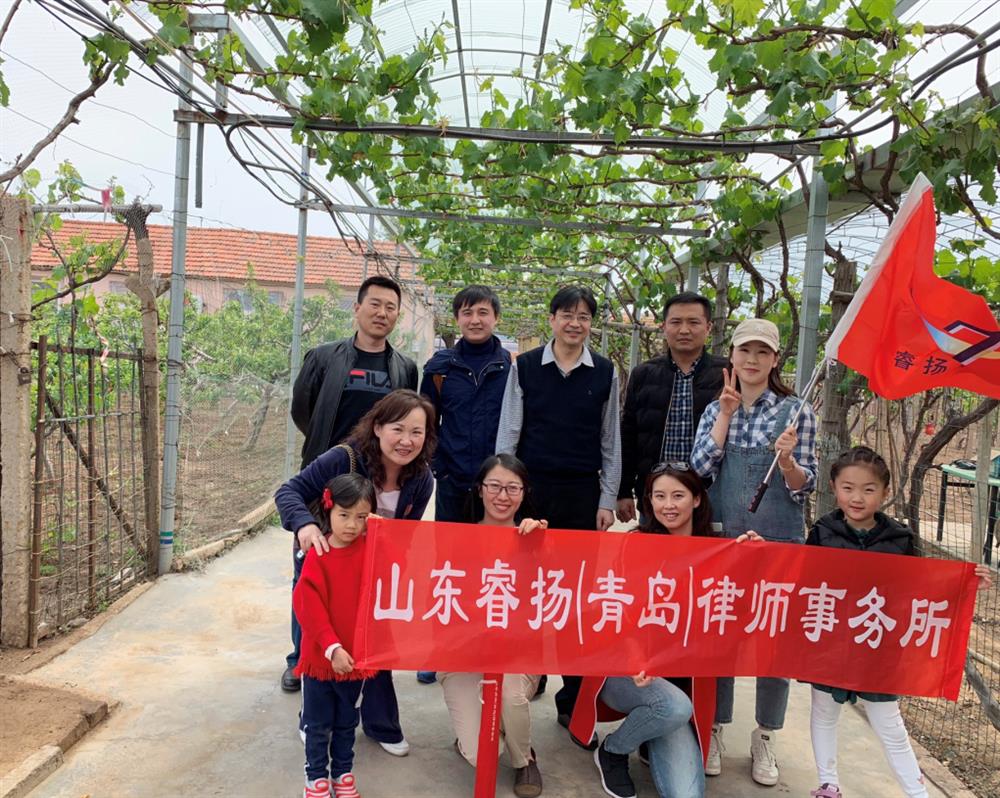 图片9