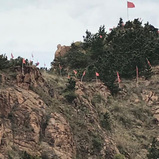 图片16