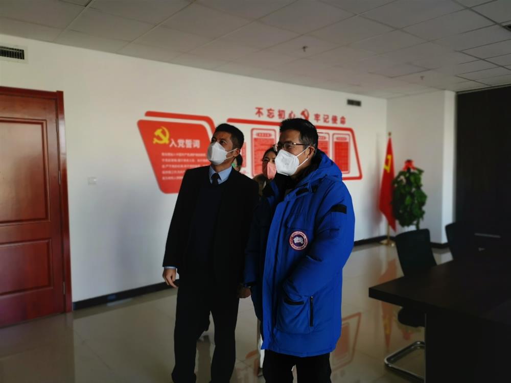 图片8