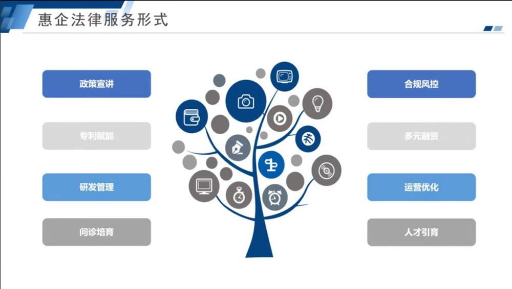图片9