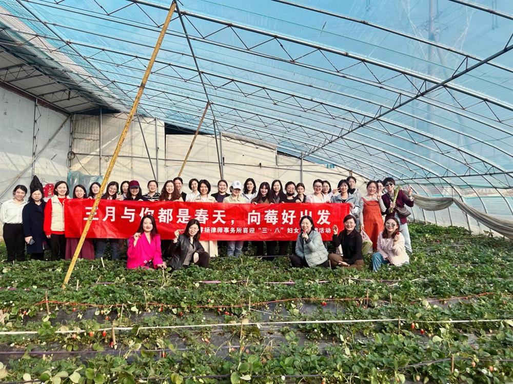 图片6