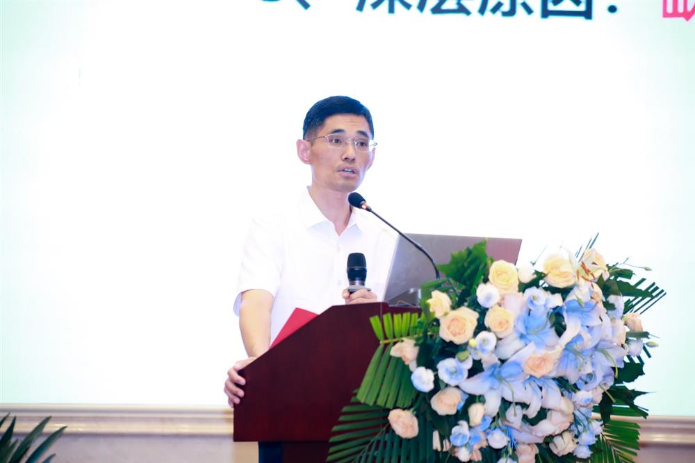 图片12