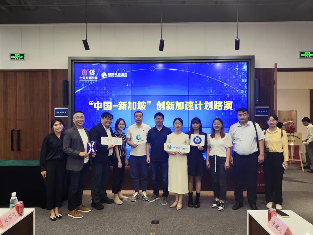 图片8