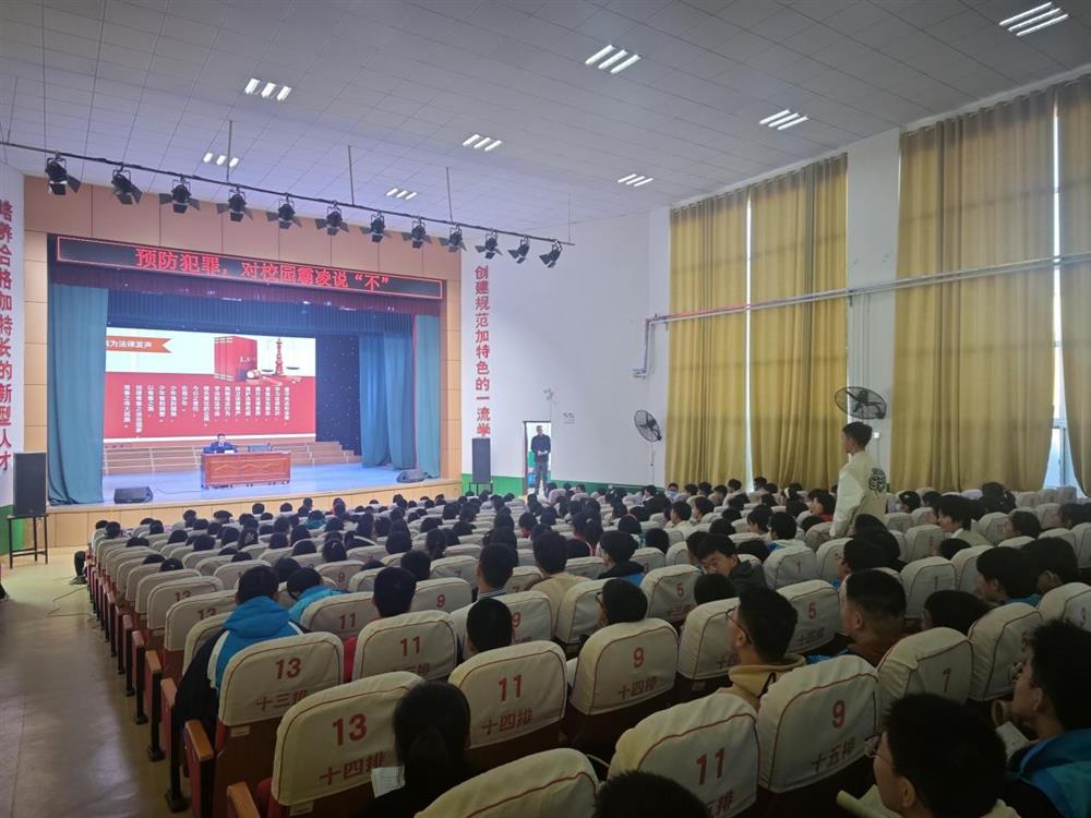 图片3